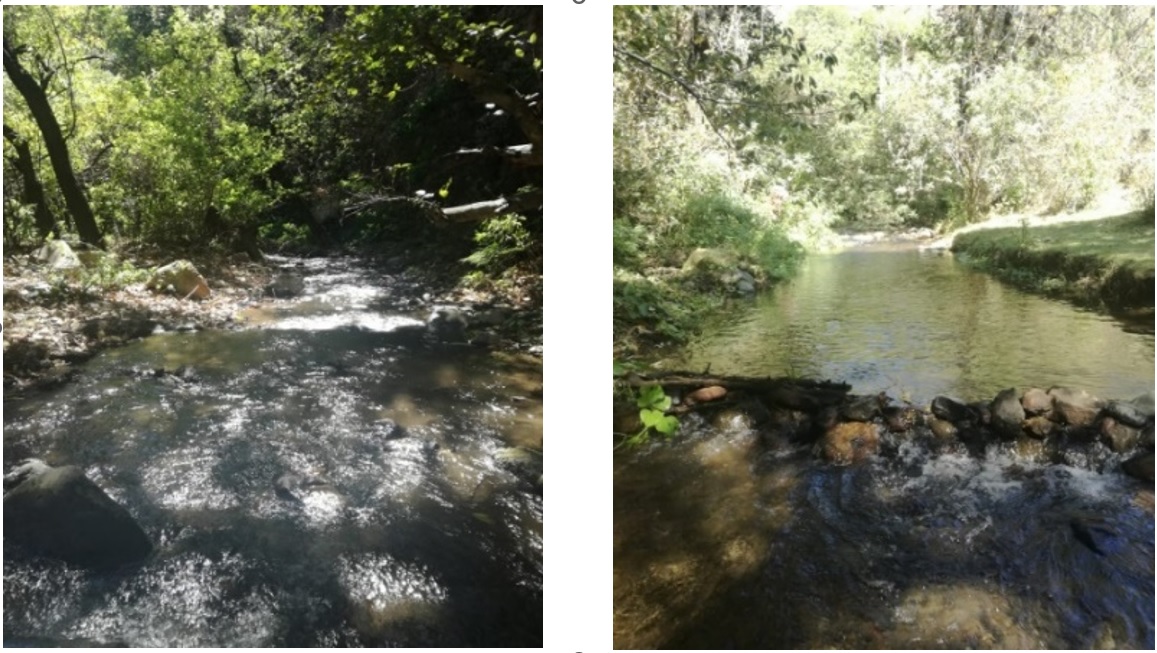 Imágenes del Río Huitzilac Ubicación parte alta del río. 