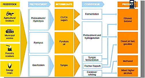 Conversion pathways for biofuels/bioenergy. 