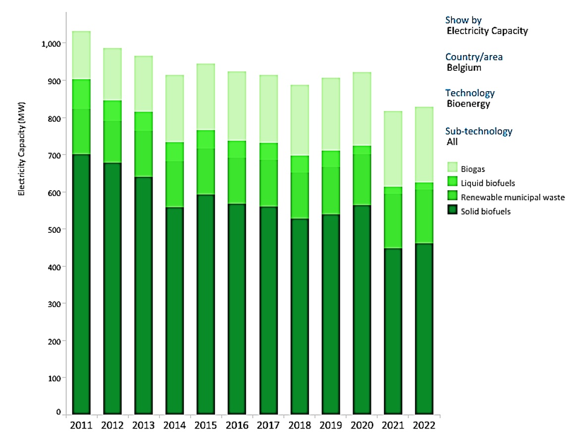 Belgium (EU Member), electricity capacity -Bioenergy.