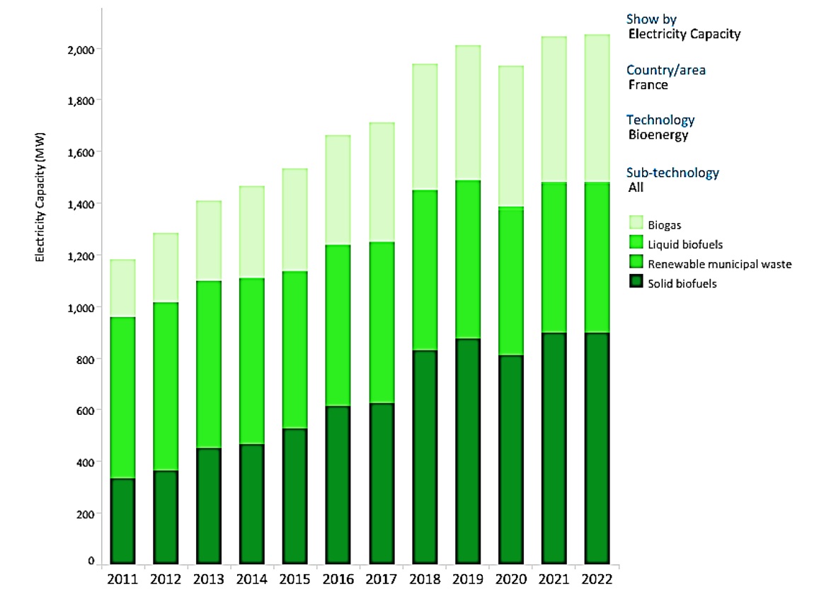 France (EU Member), electricity capacity
-Bioenergy. 