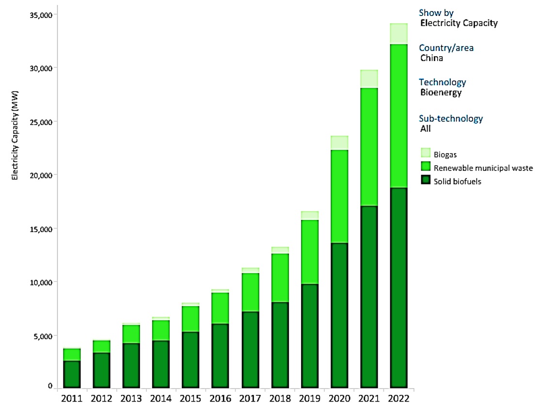 China,
electricity capacity -Bioenergy.