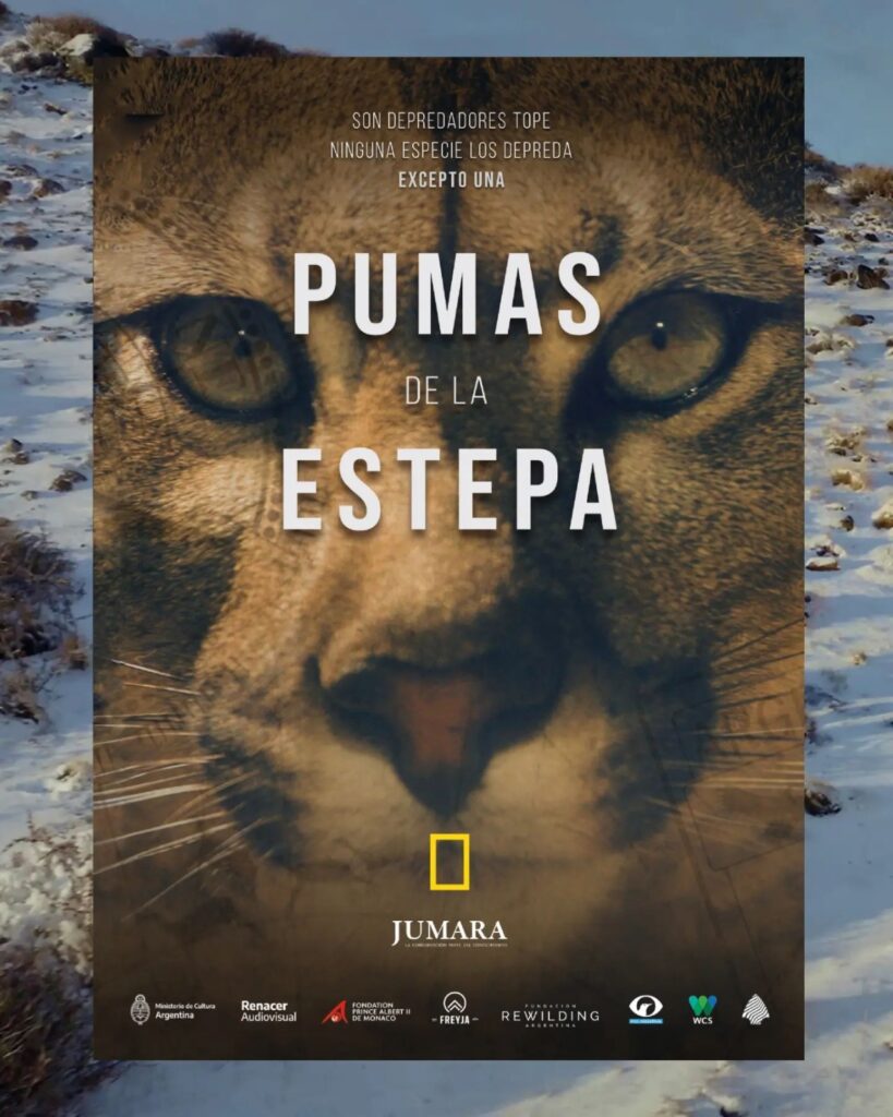 Imagen de portada del documental Pumas de la Estepa