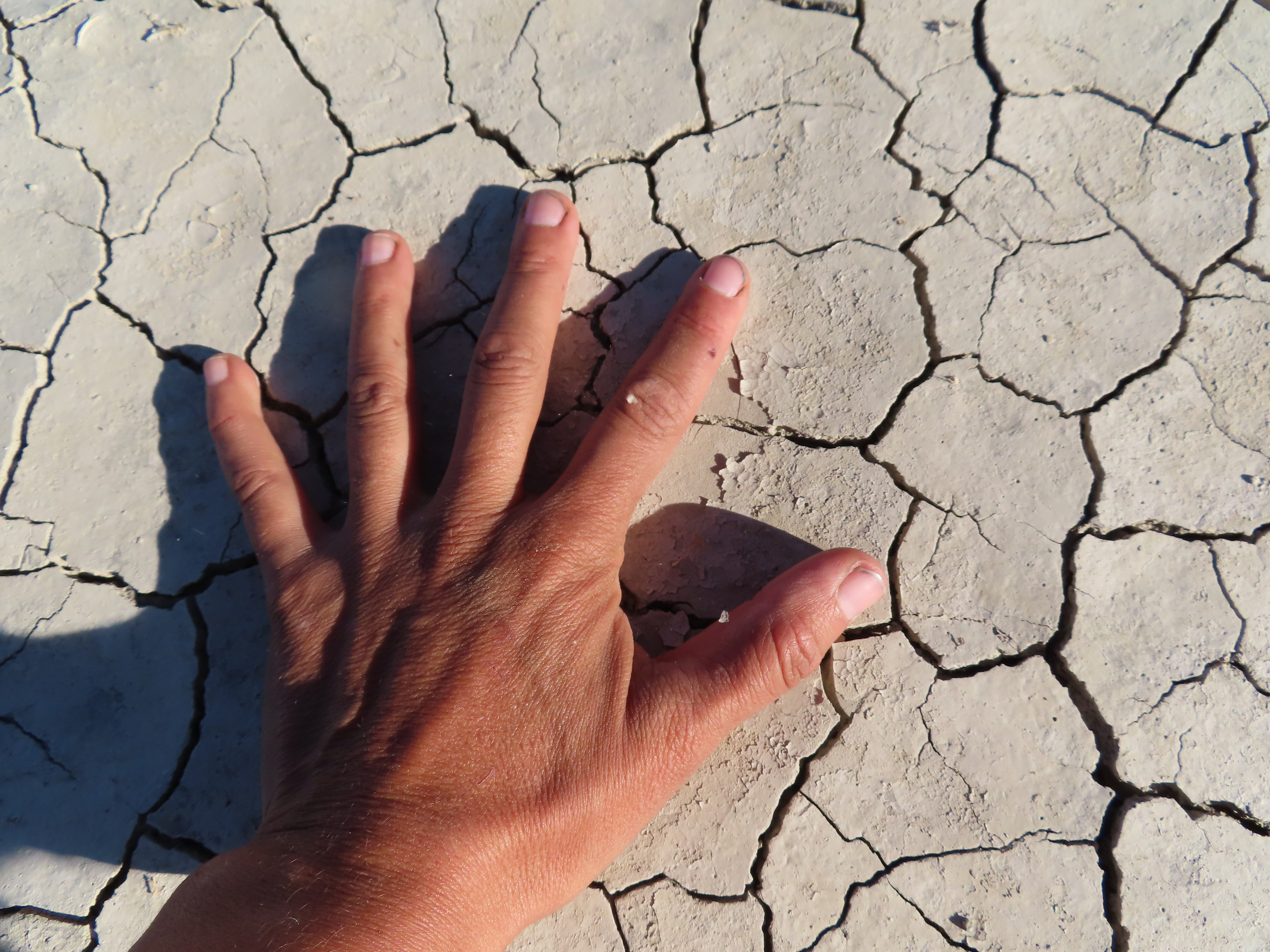 Desertificación del suelo por sequías prolongadas en zonas de la estepa de Chubut.