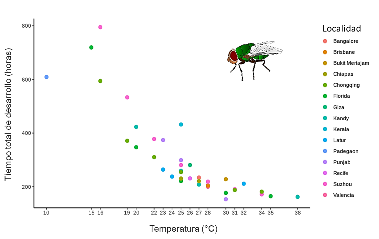 Tiempo de desarrollo de poblaciones de Chrysomya megacephala de diferentes localidades a diversas temperaturas. Los símbolos representan los 15 estudios incluidos en el meta-análisis. Se observa que a la misma temperatura la duración del ciclo de vida difiere según el lugar.