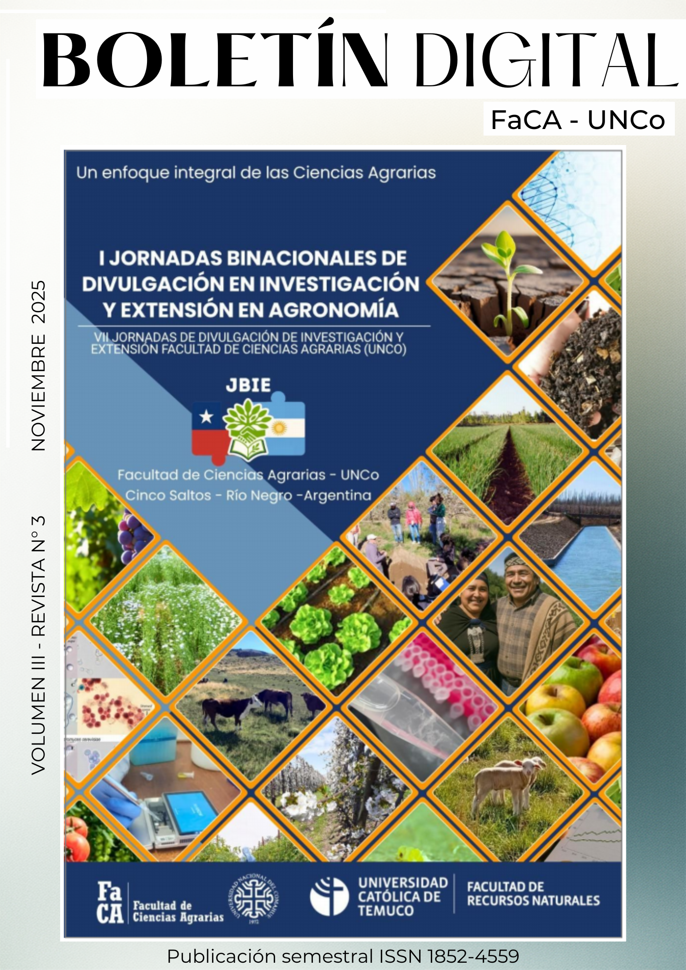 					Ver Vol. 3 Núm. 3 (2025): Boletín Digital de la FaCA-UNCo
				